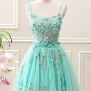 Sparkly Green A Line Corset Tulle Appliques Mini Dress - Image 1
